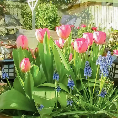 Three-bedroom In Saby * Sæby